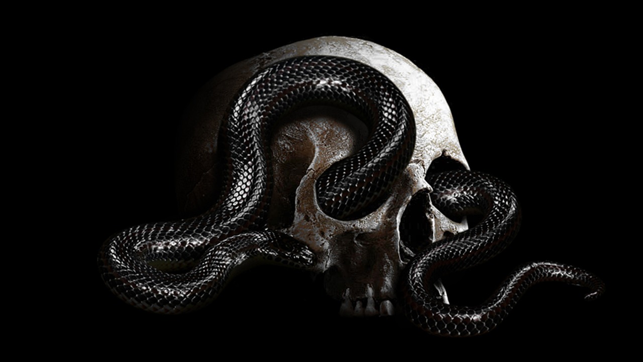 The Misconception of the “Noble Savage” in Archaeology